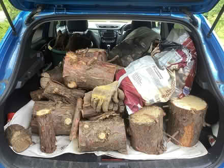 Photo of free Firewood (Craiglockhart EH14) #1