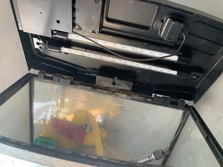 Photo of free Fish tank with equipment (Penge, SE20.) #3