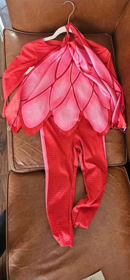Photo of free Fancy dress costumes • age 5-6 (SW4) #3