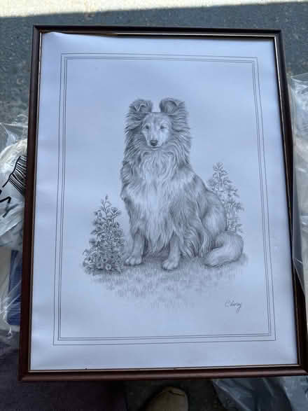 Photo of free C barley pencil print of dog (Loughton MK5) #1