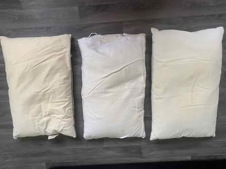 Photo of free 3 Feather pillows (BA11) #1