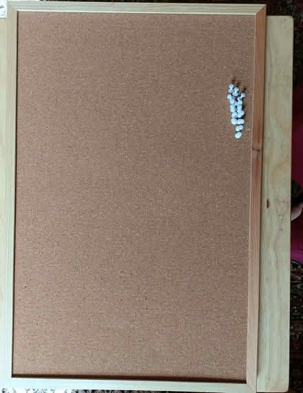 Photo of free Pin board (EH3 Canonmills) #1