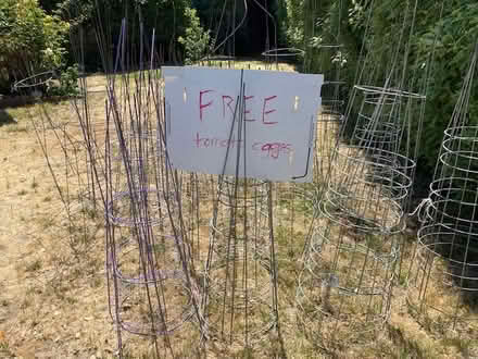Photo of free Tomato cages various sizes (Ticonderoga and Mary) #1