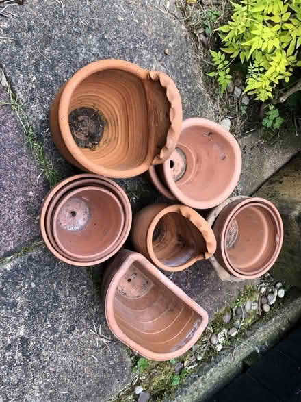 Photo of free Plant pots (Bedwell SG1) #1