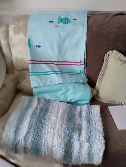 Photo of free 2 shower curtains & bathmat (Bradway S17) #1
