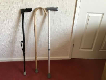 Photo of free Walking stick (Hutton PR4) #1