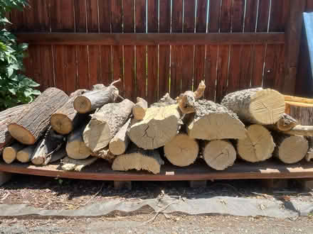 Photo of free Fire wood (Leyden st alley 26 & 28th Ave) #3