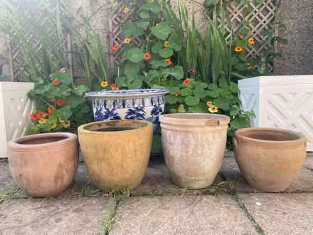 Photo of free 4 terracotta flower pots (Braintree CM7) #1