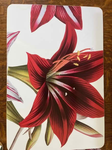 Photo of free Set of 4 lily Placemats (Chesterbrook Rd and Albemarle) #2