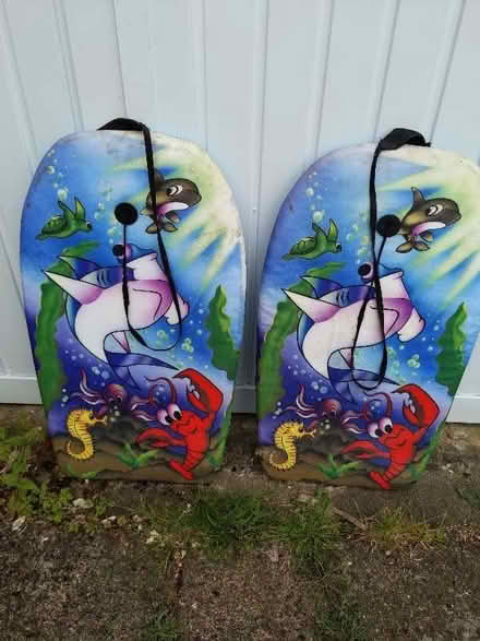 Photo of free Two kids boardboards (Coulsdon CR5) #1