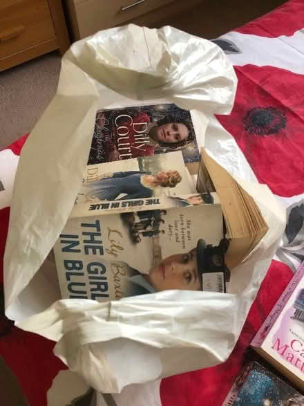 Photo of free Bag of Paperback books. Various authors (Kingsteignton TQ12) #1