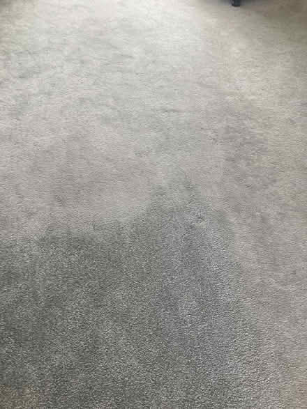 Photo of free Deep pile carpet (Sacriston DH7) #1