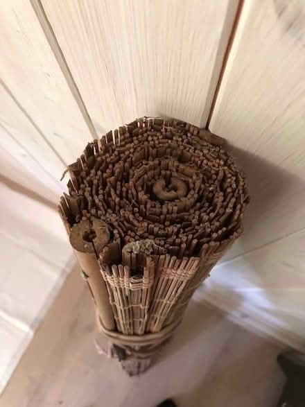 Photo of free Bamboo Window Roller Blind (Twickenham TW1) #1