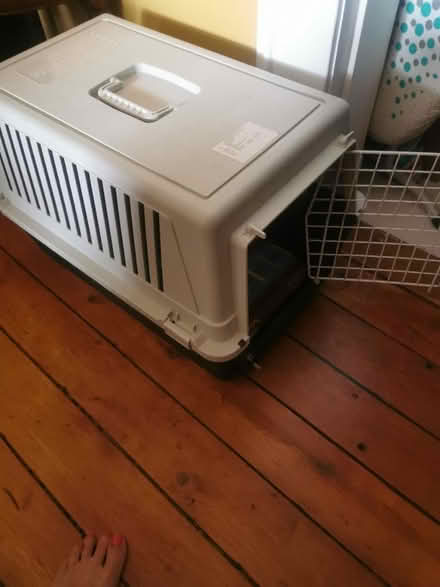 Photo of free Cat carry box (Maryhill G20) #1