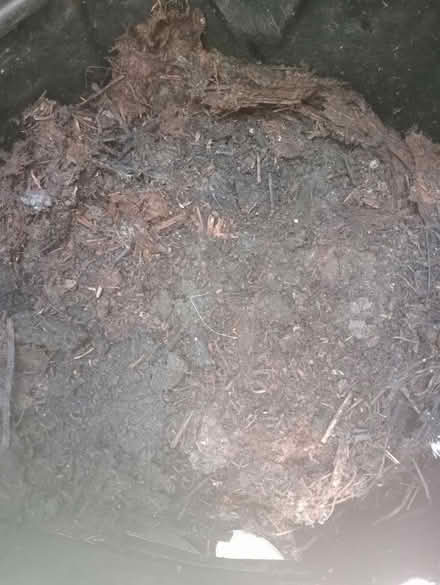 Photo of free Garden compost (Larkhall) #2