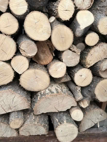 Photo of free Fire wood (Leyden st alley 26 & 28th Ave) #1