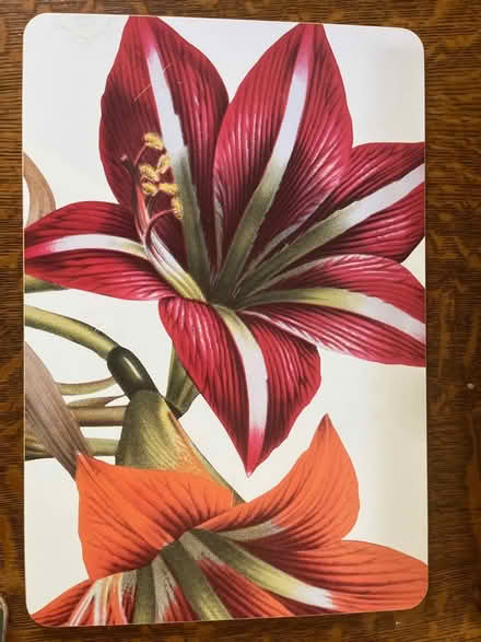 Photo of free Set of 4 lily Placemats (Chesterbrook Rd and Albemarle) #3