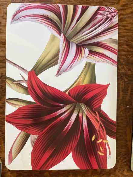Photo of free Set of 4 lily Placemats (Chesterbrook Rd and Albemarle) #1