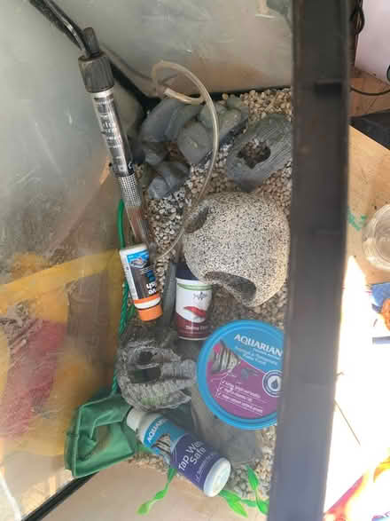 Photo of free Fish tank with equipment (Penge, SE20.) #2