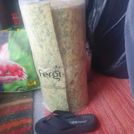 Photo of free Bolster shaped thing (St George BS5) #2