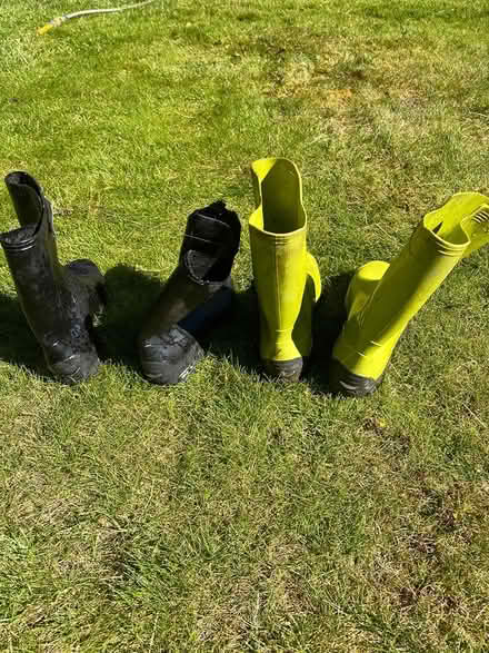 Photo of free Wellie Boots 2 pairs (Oxted) #2