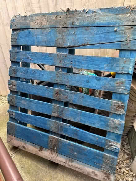 Photo of free Wooden pallet (OX11) #1