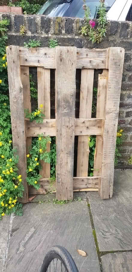 Photo of free Wooden pallet (Wimbledon SW19) #1