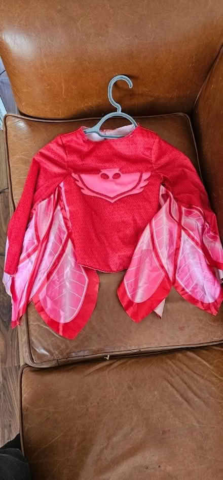 Photo of free Fancy dress costumes • age 5-6 (SW4) #4