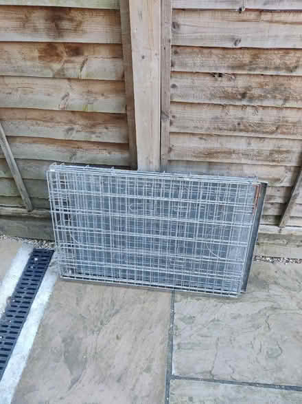 Photo of free Dog crate (SW17) #1