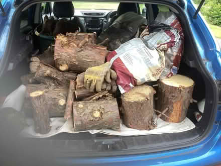 Photo of free Firewood (Craiglockhart EH14) #2