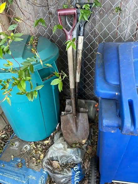 Photo of free 4 shovels (Capitol Hill near Lincoln Park) #1