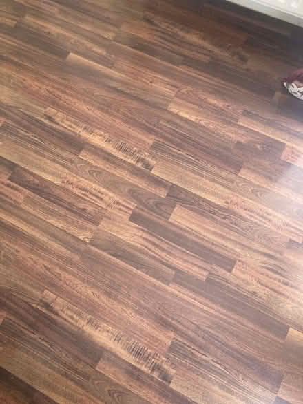 Photo of free Laminate flooring (Sacriston DH7) #1