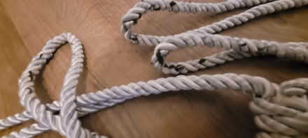 Photo of free Curtain ties (Temple Cowley OX4) #1