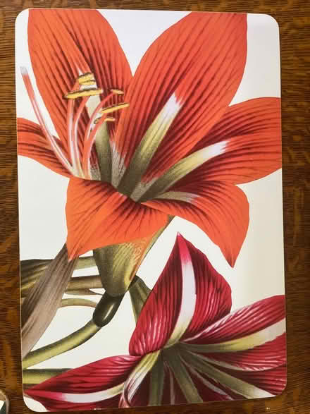 Photo of free Set of 4 lily Placemats (Chesterbrook Rd and Albemarle) #4