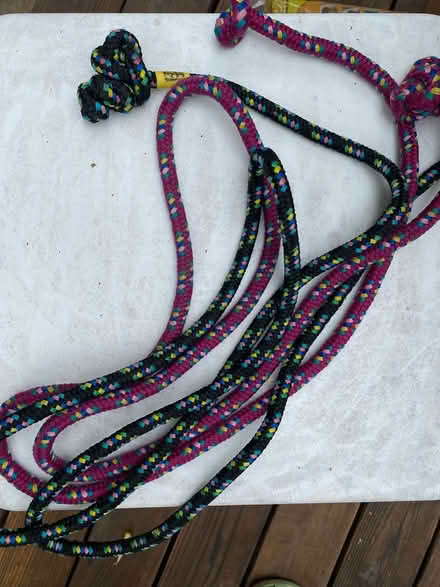 Photo of free Two kids jump ropes (Oakland) #1