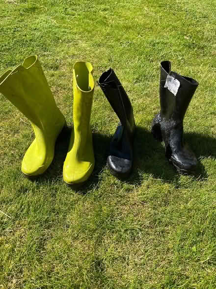 Photo of free Wellie Boots 2 pairs (Oxted) #1