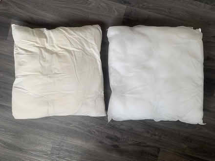 Photo of free 2 polyester cushion pads (BA11) #1