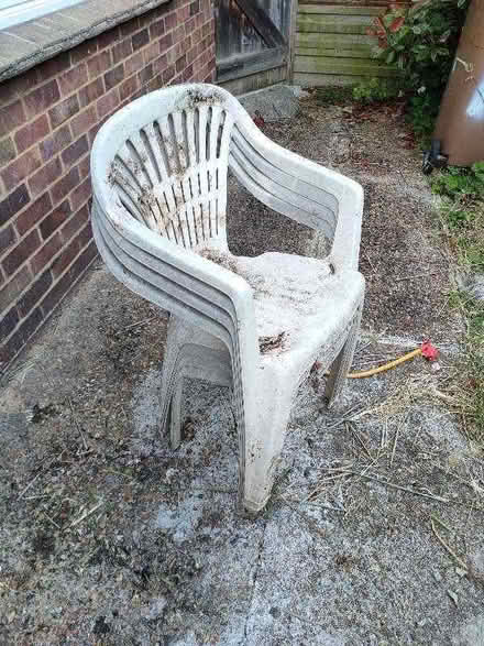 Photo of free Garden chairs (Chelmsford CM1) #1