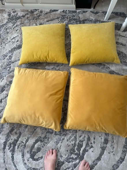 Photo of free Velvet feel scatter Cushions (TW9) #2