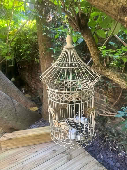Photo of free Decorative Bird Cage (Bloomsbury -WC1N) #1