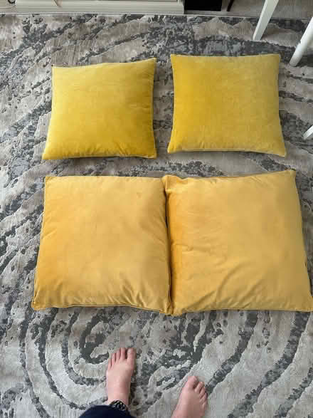 Photo of free Velvet feel scatter Cushions (TW9) #1