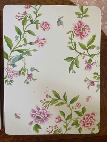 Photo of free Set of 8 placemats (Chesterbrook Rd and Albemarle) #1
