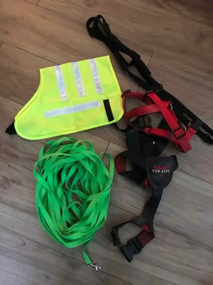 Photo of free Various dog harnesses (Baillieston, Glasgow G69) #1