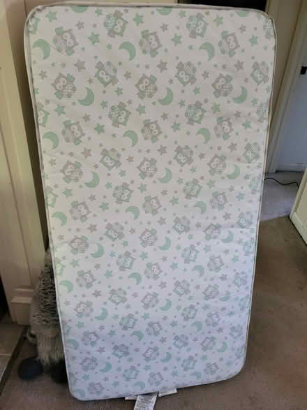 Photo of free Baby Crib mattress (Larigo Drive 37914) #2