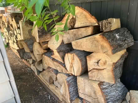 Photo of free Fire wood (Leyden st alley 26 & 28th Ave) #2