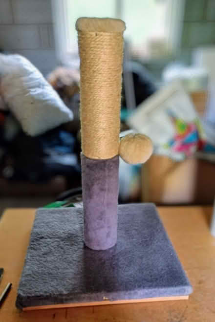 Photo of free Cat scratching post (DA1) #1