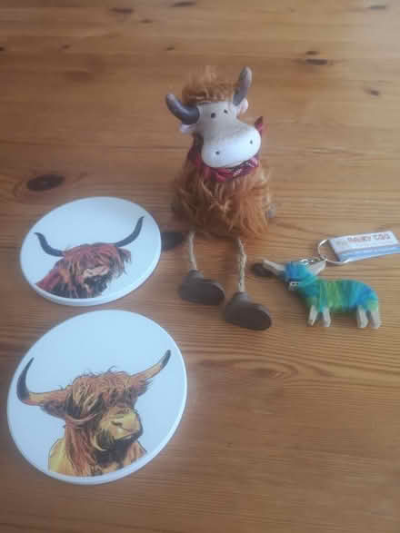 Photo of free Highland cow keyring, mug coasters (Worthing) #1