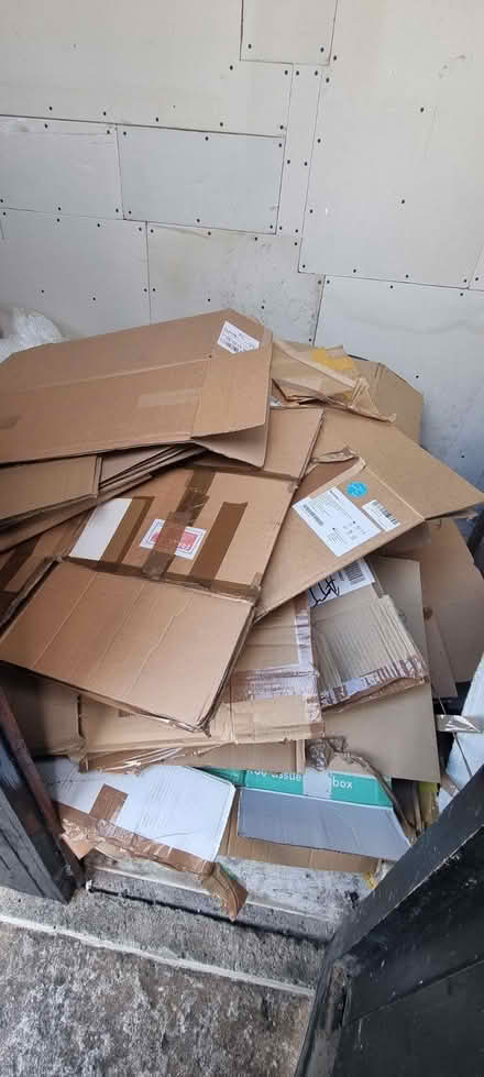 Photo of free Large collection of cardboard boxes (Thornhill CF14) #1