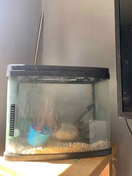 Photo of free Fish tank with equipment (Penge, SE20.) #1