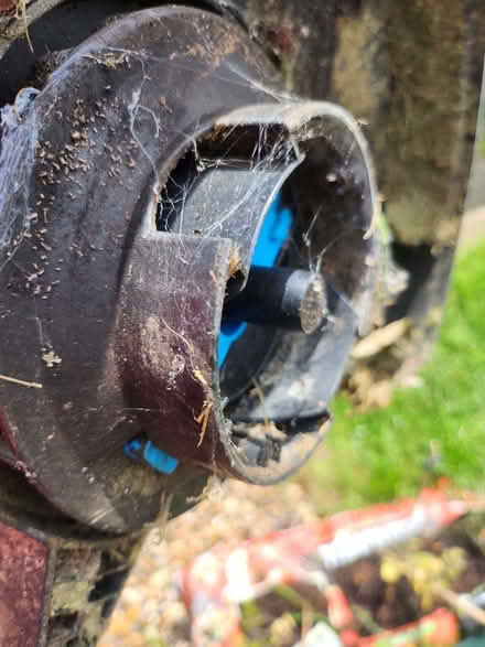 Photo of free Strimmer -needs part (Stonehouse GL10) #3